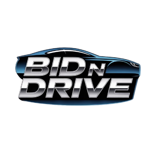 BidNDrive Logo